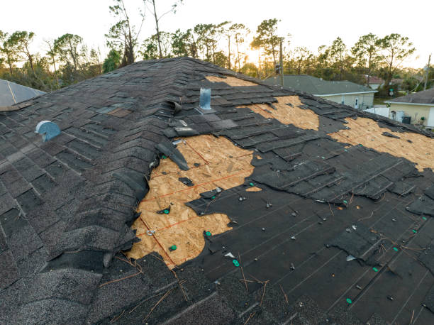 Best Roof Maintenance and Cleaning  in Grottoes, VA