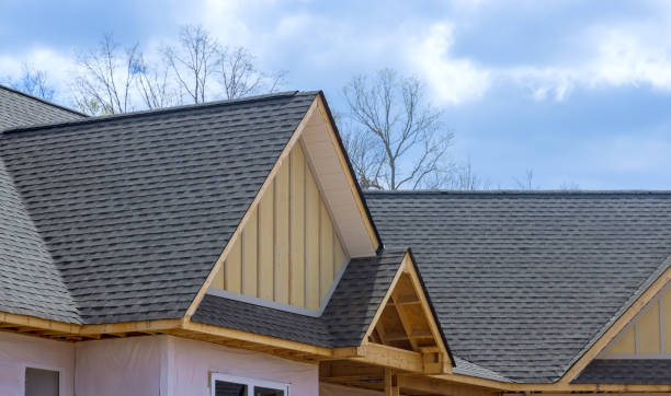 Best Skylight Installation and Repair  in Grottoes, VA